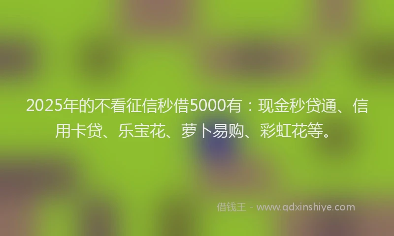 2025年的不看征信秒借5000有：现金秒贷通、信用卡贷、乐宝花、萝卜易购、彩虹花等。