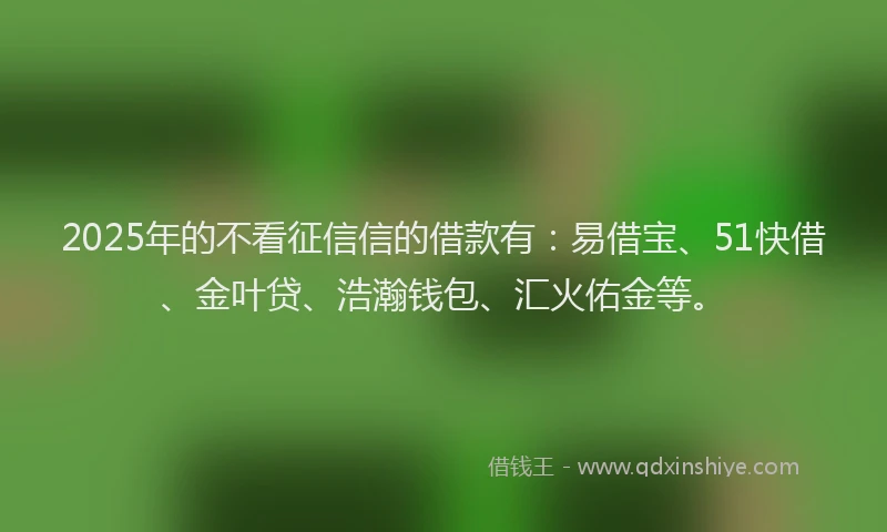 2025年的不看征信信的借款有：易借宝、51快借、金叶贷、浩瀚钱包、汇火佑金等。