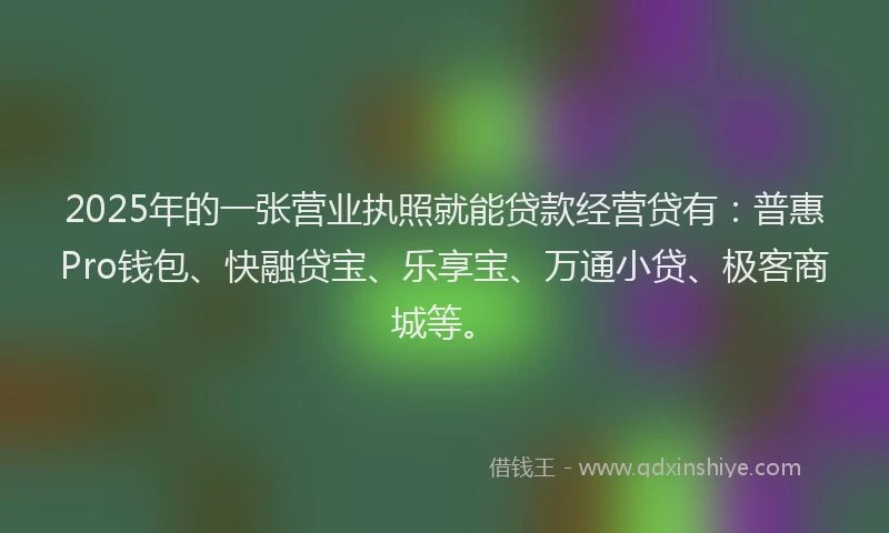 2025年的一张营业执照就能贷款经营贷有：普惠Pro钱包、快融贷宝、乐享宝、万通小贷、极客商城等。