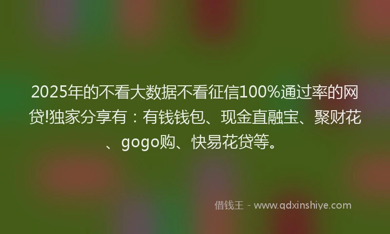 2025年的不看大数据不看征信100%通过率的网贷!独家分享有：有钱钱包、现金直融宝、聚财花、gogo购、快易花贷等。