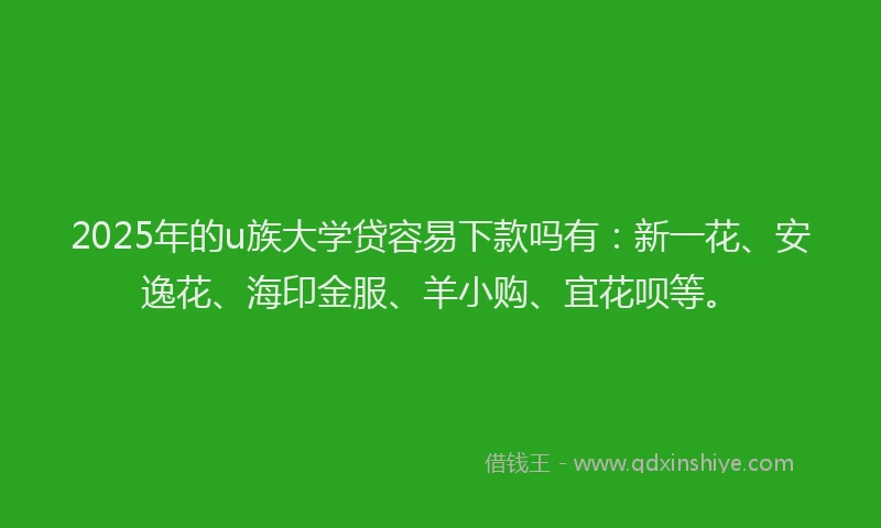 2025年的u族大学贷容易下款吗有：新一花、安逸花、海印金服、羊小购、宜花呗等。