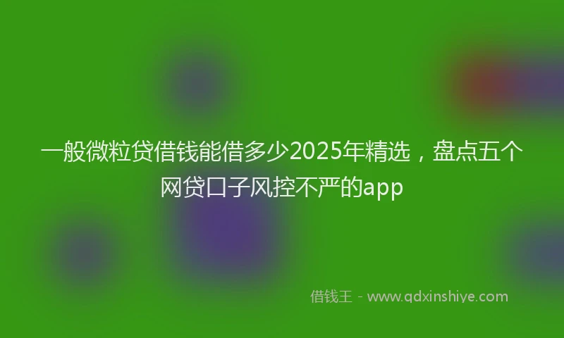 一般微粒贷借钱能借多少2025年精选，盘点五个网贷口子风控不严的app