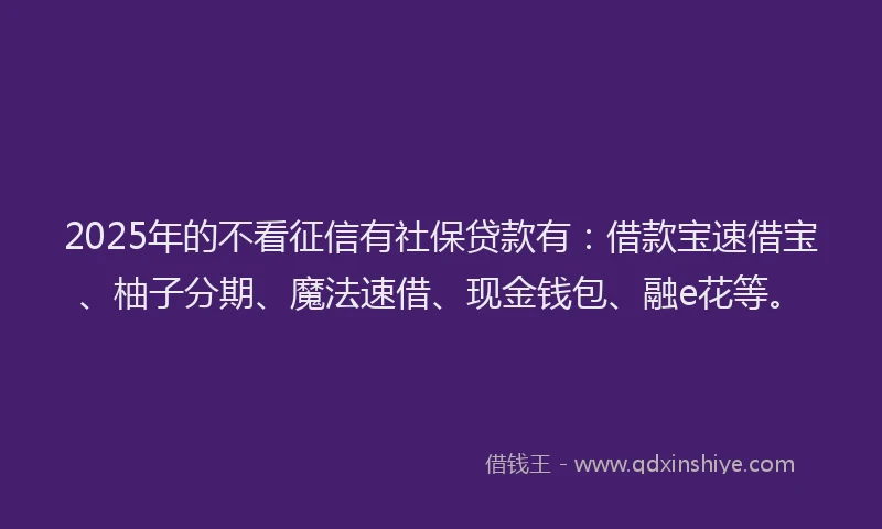 2025年的不看征信有社保贷款有：借款宝速借宝、柚子分期、魔法速借、现金钱包、融e花等。
