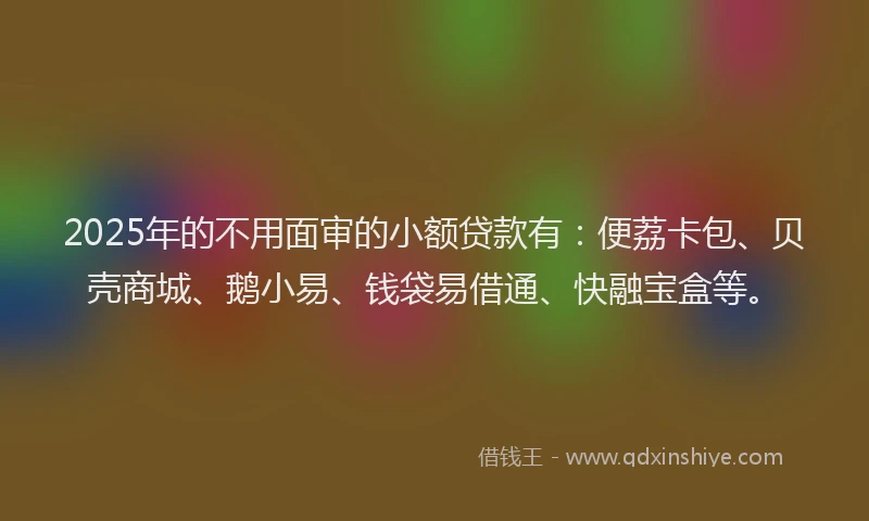 2025年的不用面审的小额贷款有：便荔卡包、贝壳商城、鹅小易、钱袋易借通、快融宝盒等。