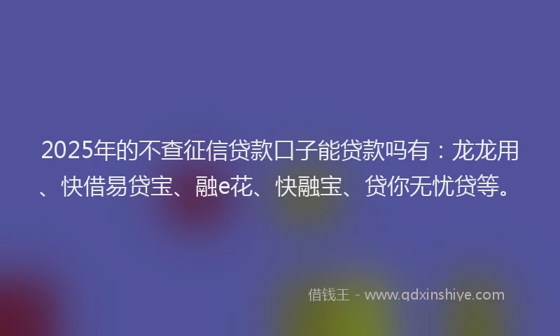2025年的不查征信贷款口子能贷款吗有：龙龙用、快借易贷宝、融e花、快融宝、贷你无忧贷等。