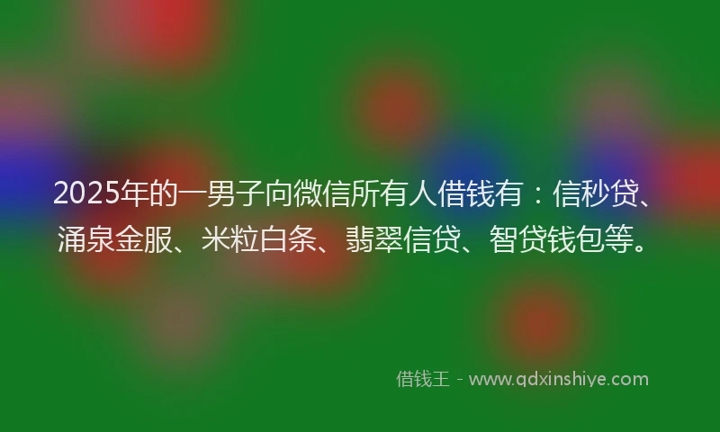 2025年的一男子向微信所有人借钱有：信秒贷、涌泉金服、米粒白条、翡翠信贷、智贷钱包等。