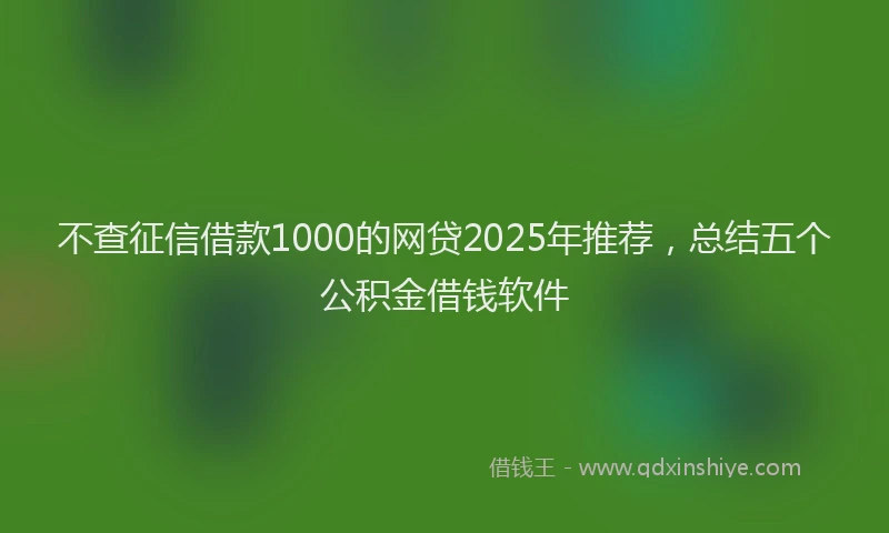 不查征信借款1000的网贷2025年推荐，总结五个公积金借钱软件