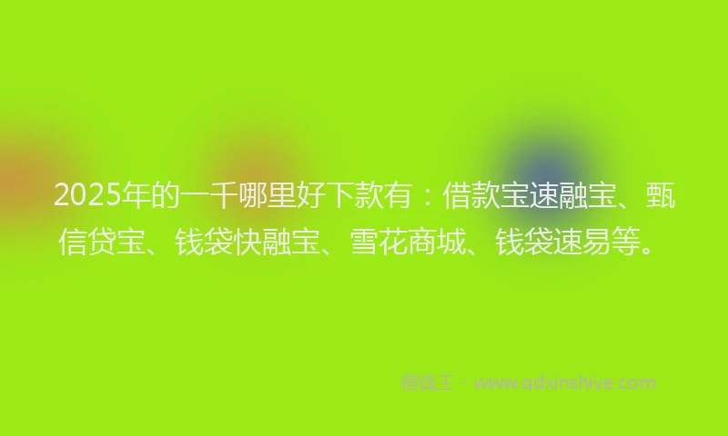 2025年的一千哪里好下款有：借款宝速融宝、甄信贷宝、钱袋快融宝、雪花商城、钱袋速易等。