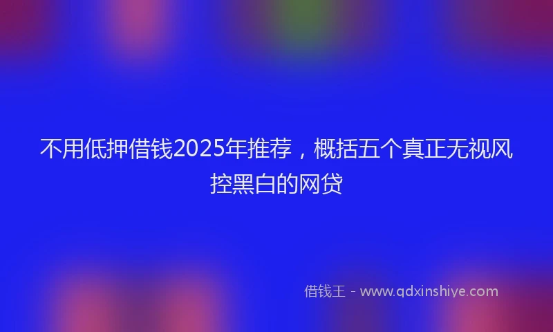 不用低押借钱2025年推荐，概括五个真正无视风控黑白的网贷