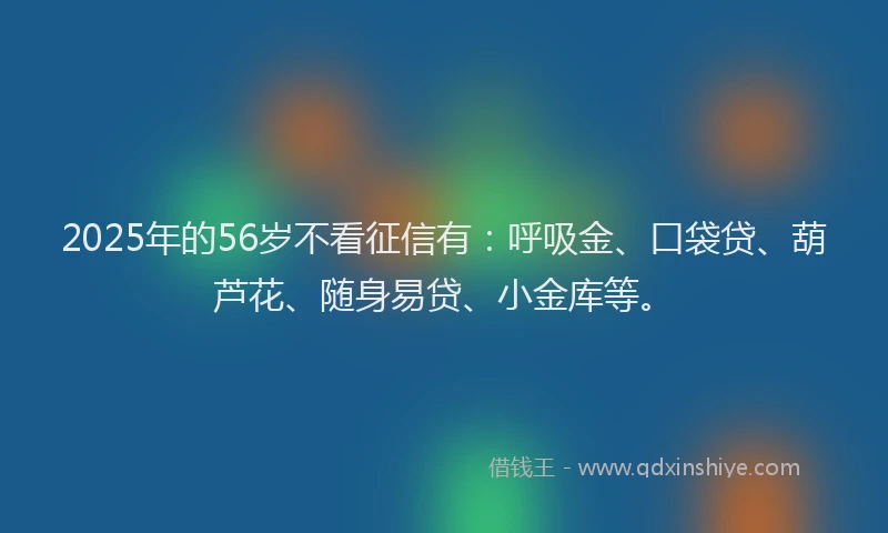 2025年的56岁不看征信有：呼吸金、口袋贷、葫芦花、随身易贷、小金库等。