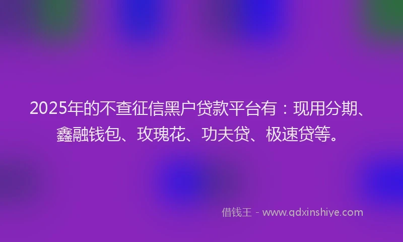 2025年的不查征信黑户贷款平台有：现用分期、鑫融钱包、玫瑰花、功夫贷、极速贷等。