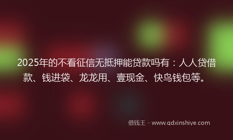 2025年的不看征信无抵押能贷款吗有：人人贷借款、钱进袋、龙龙用、壹现金、快鸟钱包等。