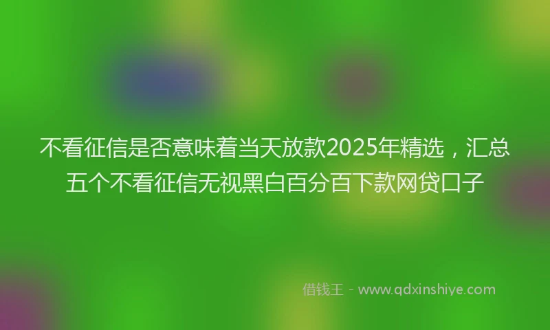 不看征信是否意味着当天放款2025年精选，汇总五个不看征信无视黑白百分百下款网贷口子