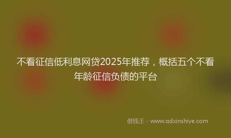 不看征信低利息网贷2025年推荐，概括五个不看年龄征信负债的平台