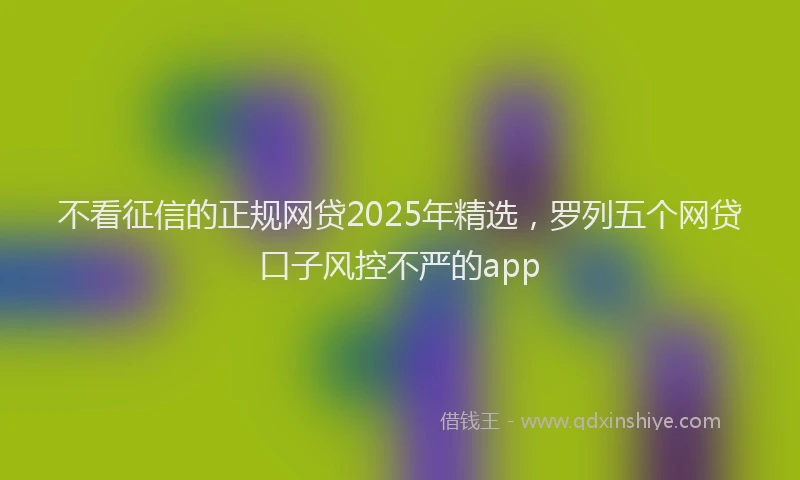 不看征信的正规网贷2025年精选，罗列五个网贷口子风控不严的app