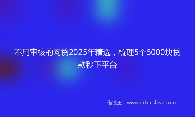不用审核的网贷2025年精选，梳理5个5000块贷款秒下平台