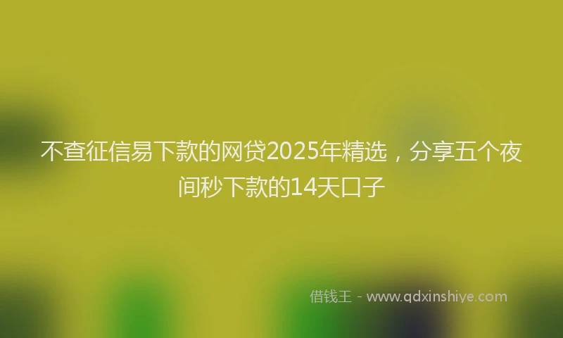 不查征信易下款的网贷2025年精选，分享五个夜间秒下款的14天口子