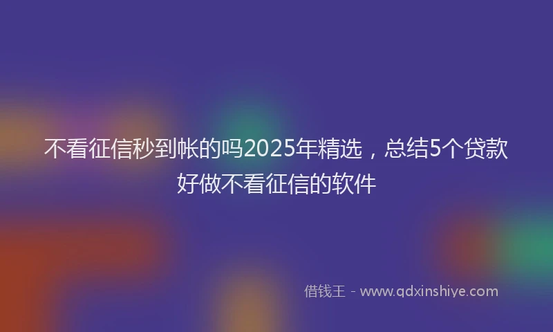 不看征信秒到帐的吗2025年精选，总结5个贷款好做不看征信的软件