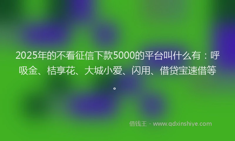 2025年的不看征信下款5000的平台叫什么有：呼吸金、桔享花、大城小爱、闪用、借贷宝速借等。