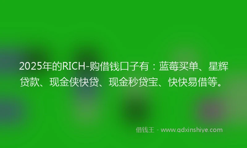 2025年的RICH-购借钱口子有：蓝莓买单、星辉贷款、现金侠快贷、现金秒贷宝、快快易借等。