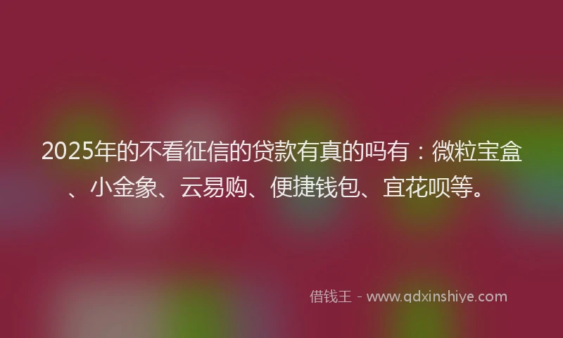 2025年的不看征信的贷款有真的吗有：微粒宝盒、小金象、云易购、便捷钱包、宜花呗等。