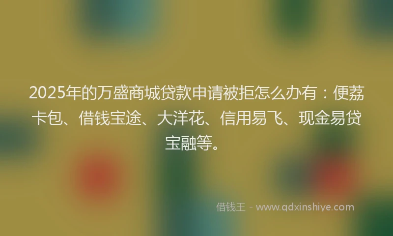 2025年的万盛商城贷款申请被拒怎么办有：便荔卡包、借钱宝途、大洋花、信用易飞、现金易贷宝融等。