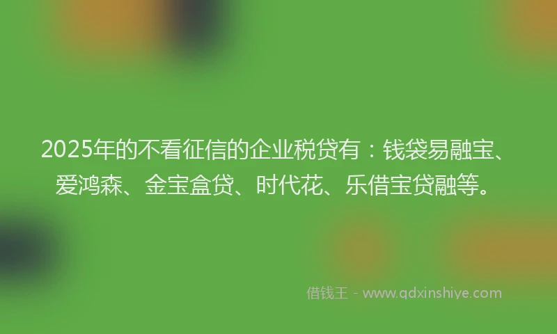 2025年的不看征信的企业税贷有：钱袋易融宝、爱鸿森、金宝盒贷、时代花、乐借宝贷融等。