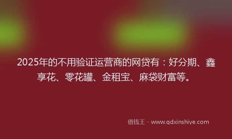 2025年的不用验证运营商的网贷有：好分期、鑫享花、零花罐、金租宝、麻袋财富等。