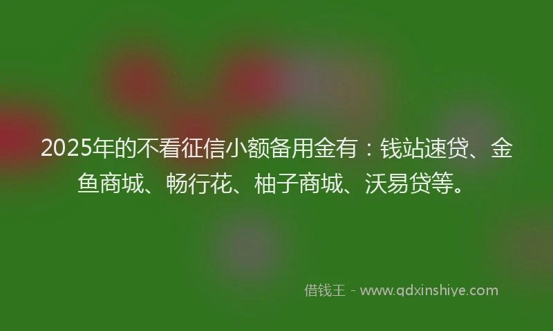 2025年的不看征信小额备用金有：钱站速贷、金鱼商城、畅行花、柚子商城、沃易贷等。