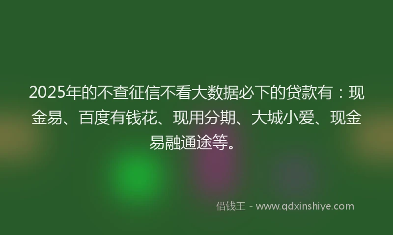 2025年的不查征信不看大数据必下的贷款有：现金易、百度有钱花、现用分期、大城小爱、现金易融通途等。