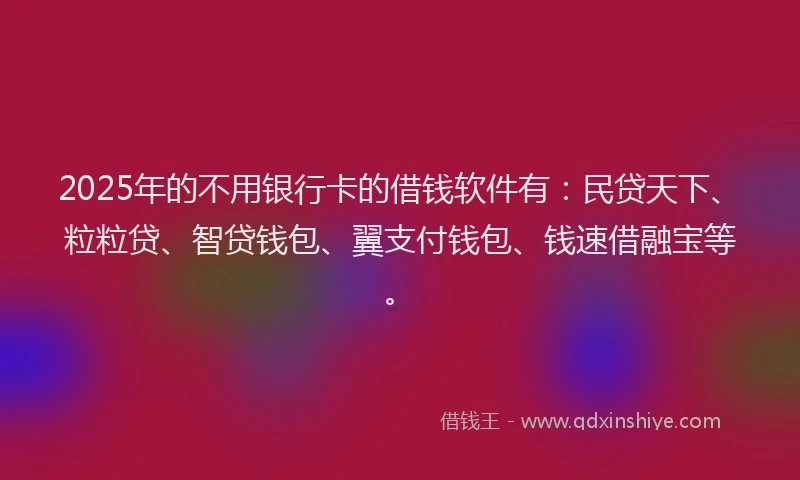 2025年的不用银行卡的借钱软件有：民贷天下、粒粒贷、智贷钱包、翼支付钱包、钱速借融宝等。