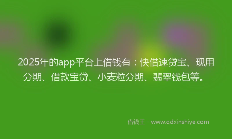 2025年的app平台上借钱有：快借速贷宝、现用分期、借款宝贷、小麦粒分期、翡翠钱包等。