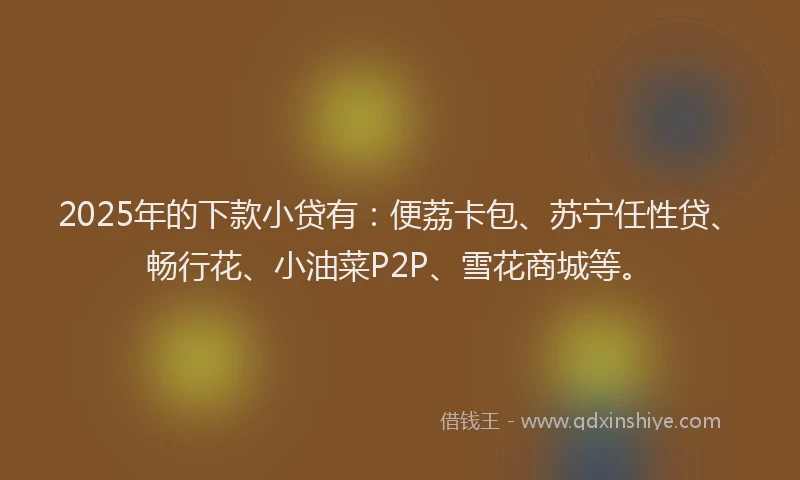 2025年的下款小贷有：便荔卡包、苏宁任性贷、畅行花、小油菜P2P、雪花商城等。