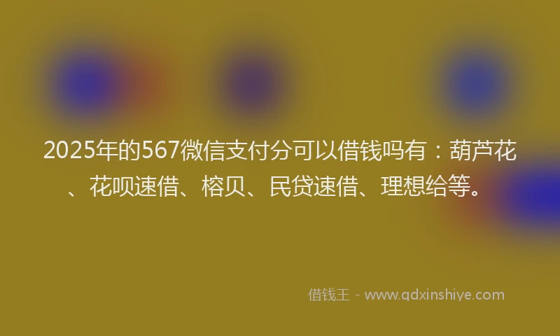 2025年的567微信支付分可以借钱吗有：葫芦花、花呗速借、榕贝、民贷速借、理想给等。