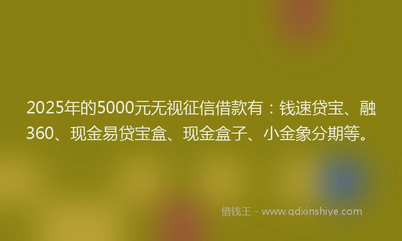 2025年的5000元无视征信借款有：钱速贷宝、融360、现金易贷宝盒、现金盒子、小金象分期等。