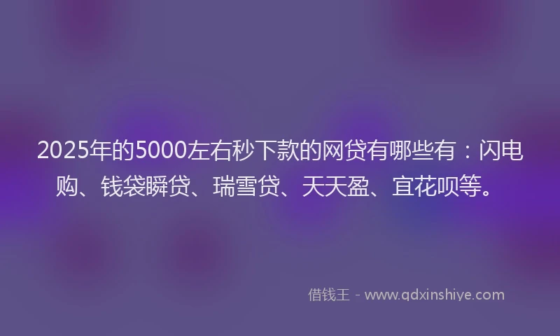 2025年的5000左右秒下款的网贷有哪些有：闪电购、钱袋瞬贷、瑞雪贷、天天盈、宜花呗等。
