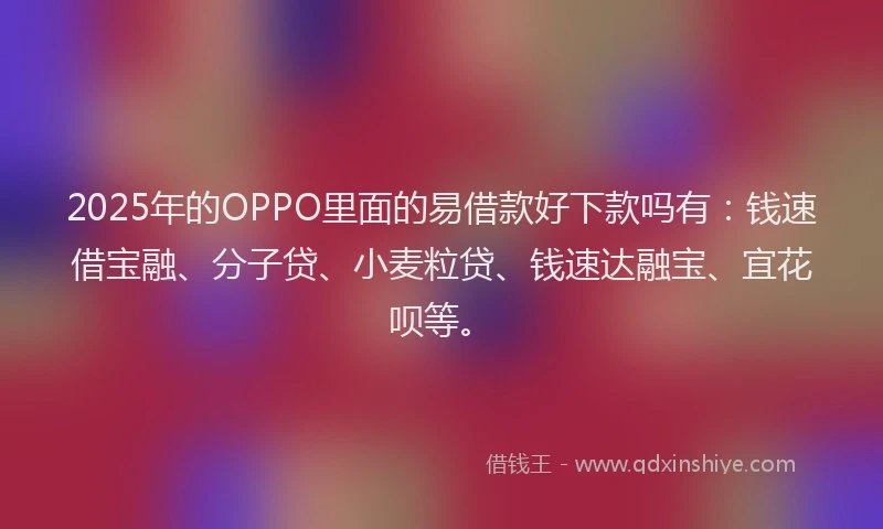 2025年的OPPO里面的易借款好下款吗有：钱速借宝融、分子贷、小麦粒贷、钱速达融宝、宜花呗等。