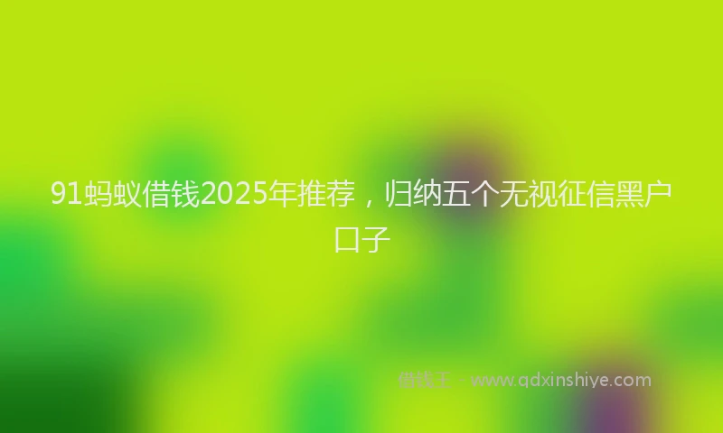 91蚂蚁借钱2025年推荐，归纳五个无视征信黑户口子