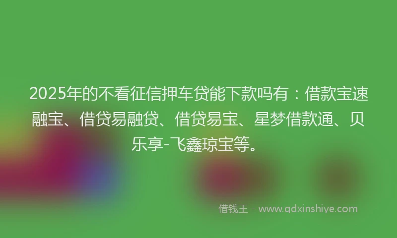 2025年的不看征信押车贷能下款吗有：借款宝速融宝、借贷易融贷、借贷易宝、星梦借款通、贝乐享-飞鑫琼宝等。