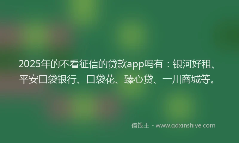 2025年的不看征信的贷款app吗有：银河好租、平安口袋银行、口袋花、臻心贷、一川商城等。