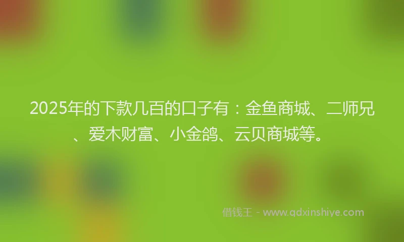 2025年的下款几百的口子有：金鱼商城、二师兄、爱木财富、小金鸽、云贝商城等。