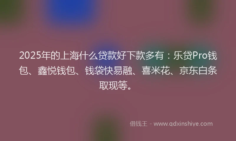 2025年的上海什么贷款好下款多有：乐贷Pro钱包、鑫悦钱包、钱袋快易融、喜米花、京东白条取现等。