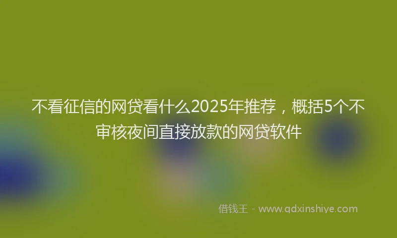 不看征信的网贷看什么2025年推荐，概括5个不审核夜间直接放款的网贷软件