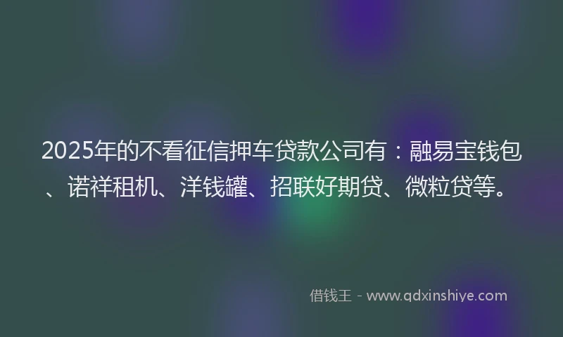 2025年的不看征信押车贷款公司有：融易宝钱包、诺祥租机、洋钱罐、招联好期贷、微粒贷等。