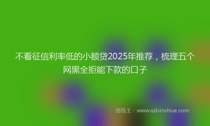 不看征信利率低的小额贷2025年推荐，梳理五个网黑全拒能下款的口子