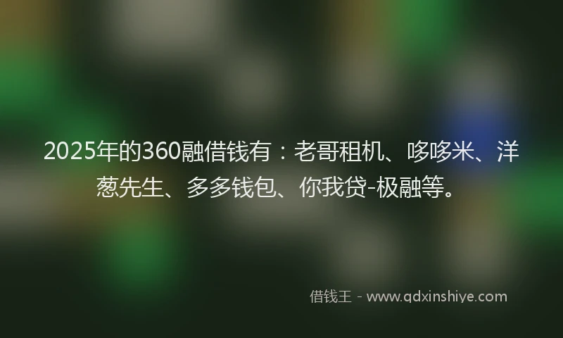 2025年的360融借钱有：老哥租机、哆哆米、洋葱先生、多多钱包、你我贷-极融等。