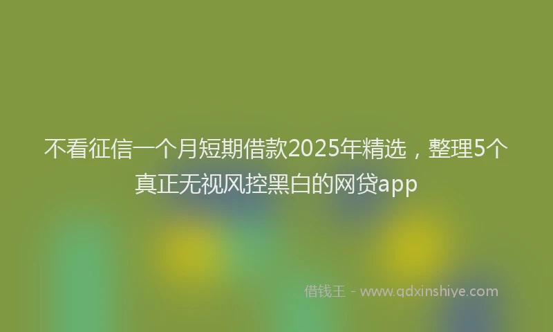 不看征信一个月短期借款2025年精选，整理5个真正无视风控黑白的网贷app