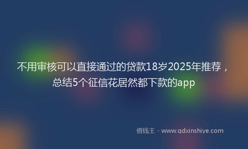 不用审核可以直接通过的贷款18岁2025年推荐，总结5个征信花居然都下款的app