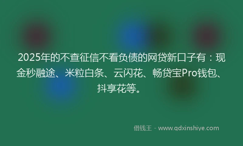 2025年的不查征信不看负债的网贷新口子有：现金秒融途、米粒白条、云闪花、畅贷宝Pro钱包、抖享花等。