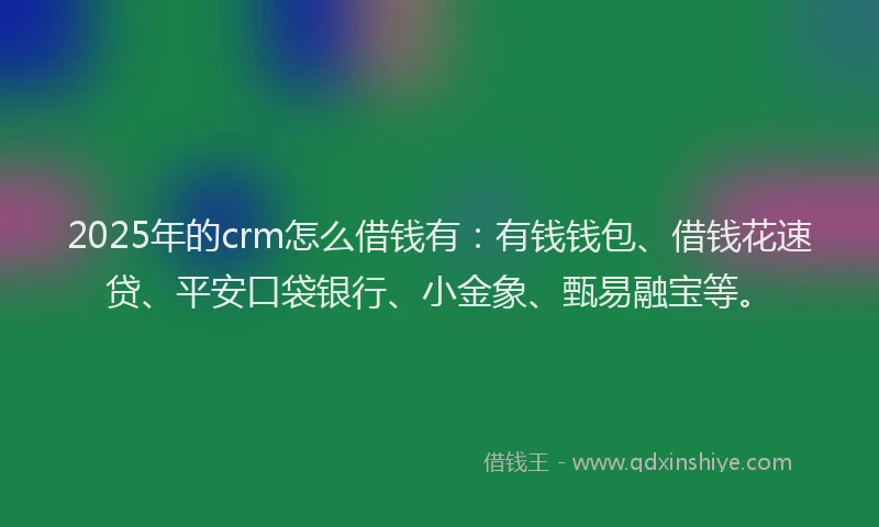 2025年的crm怎么借钱有：有钱钱包、借钱花速贷、平安口袋银行、小金象、甄易融宝等。